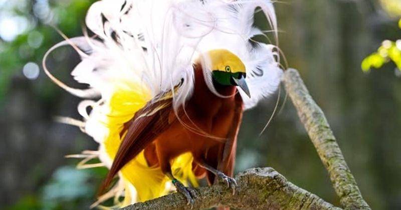 Instagram.com/Kevinyungphotography